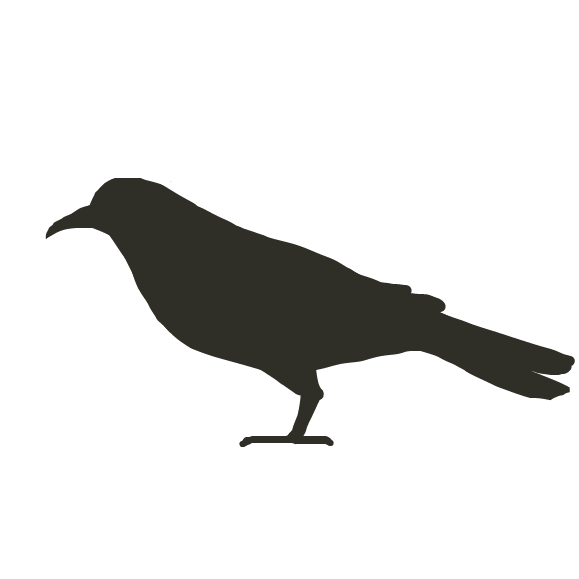 Profile picture for the comic artist, Bird