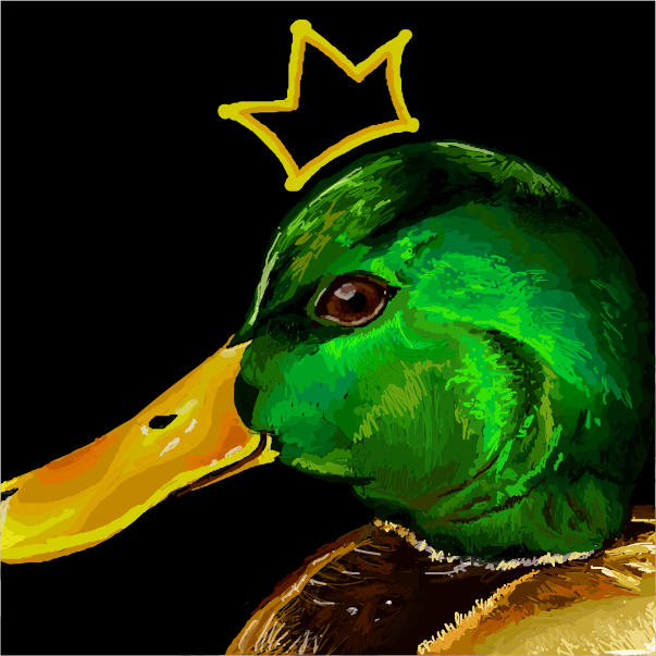 Profile picture for the comic artist, KingofDuck
