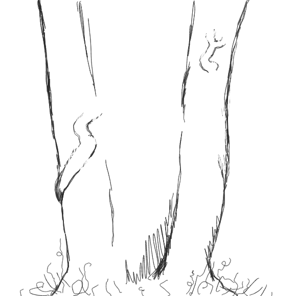 Drawing in Let's Draw A Dicture by WizardCroissant