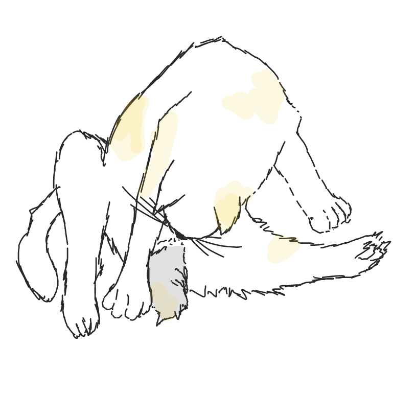 Mommy cat is delivering! - Online Drawing Game Comic Strip Panel by ArelaEstudio