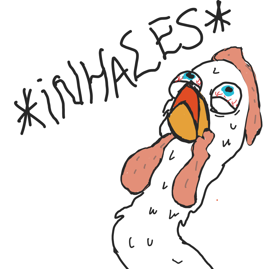 Drawing in Rocky Rooster by Mongo0se