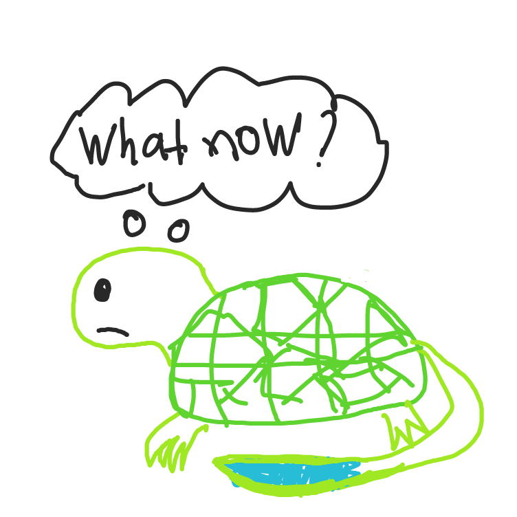 Drawing in Turtle by HaileyS