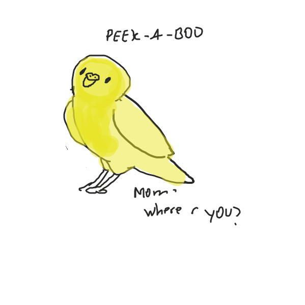 Liked webcomic peekaboo birb