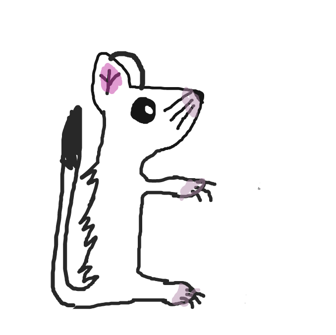 An ermine, I'm trying to go with less than usual animals, here... - Online Drawing Game Comic Strip Panel by HaileyS