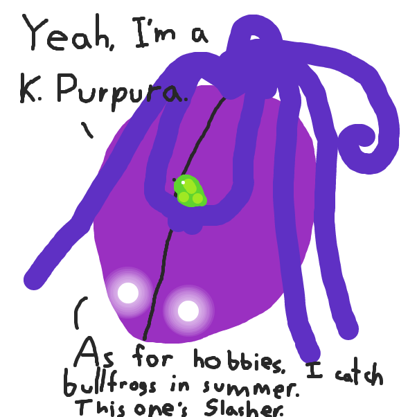  - Online Drawing Game Comic Strip Panel by ItzAki