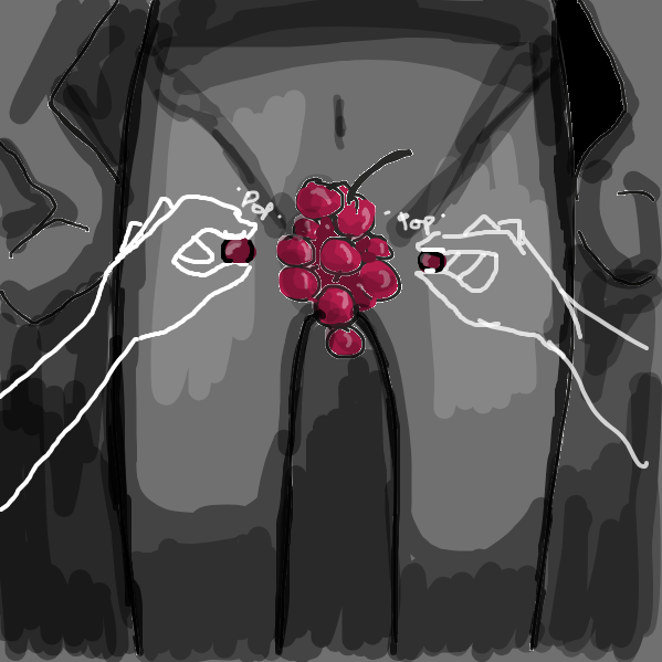 Drawing in Grapes by Mojomos