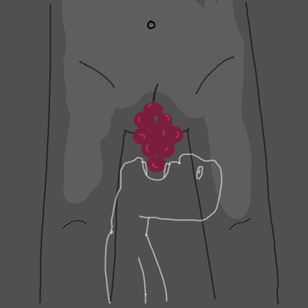 Drawing in Grapes by Captain Fetus