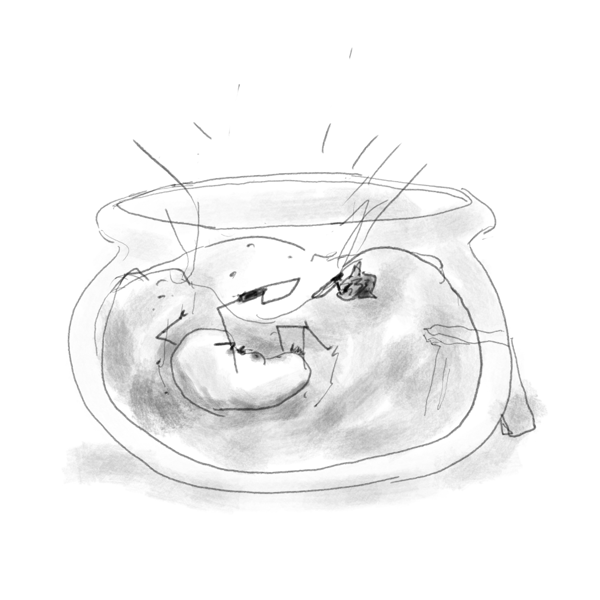 Drawing in Fish Fry by Potato Man