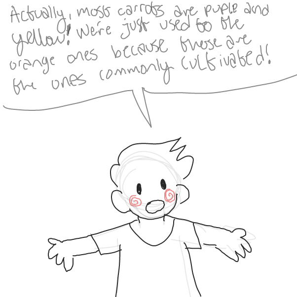 Drawing in How carrots are orange by DistantEggSong