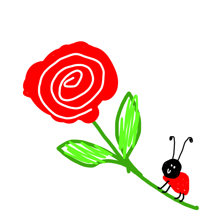 Drawing in rose by niania