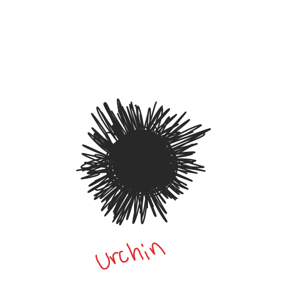 U is for Urchin - Online Drawing Game Comic Strip Panel by DistantEggSong
