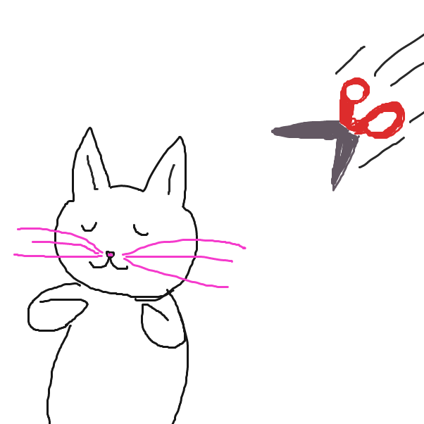 Drawing in Whiskers by Derren