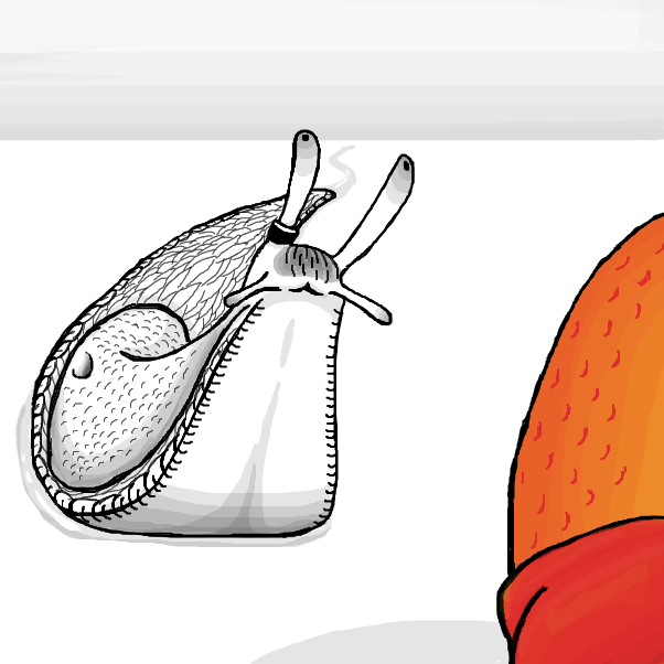 Drawing in Orange by SeanTrunks