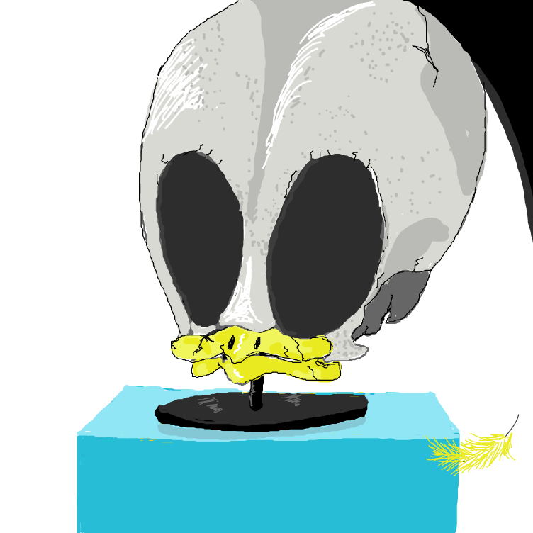 Drawing in Skulls  by dona.