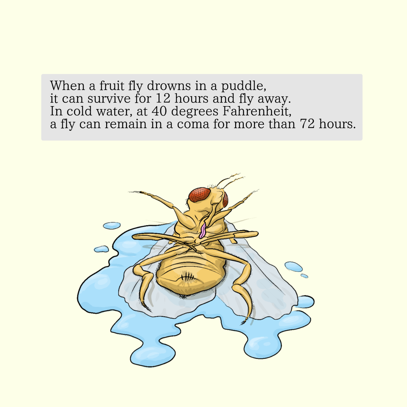 Liked webcomic Factoids