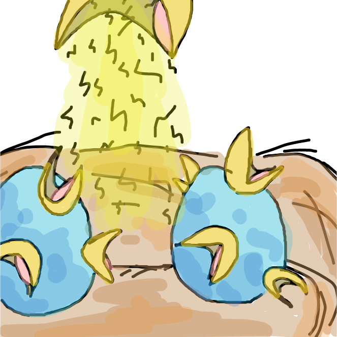 Drawing in Beaks! by wrecktangle