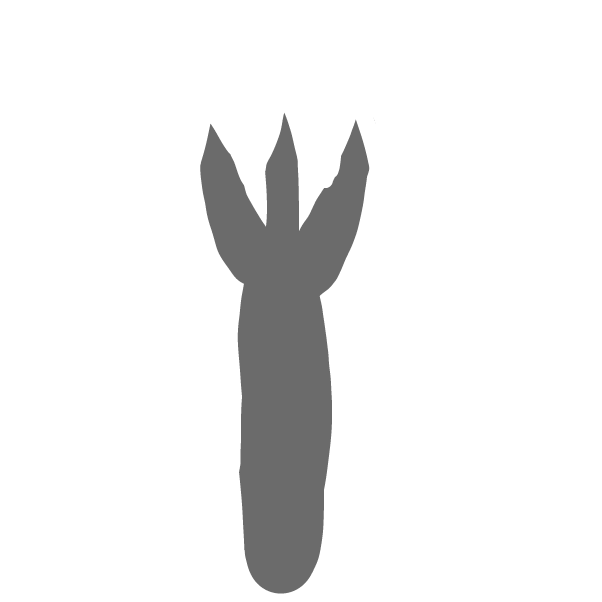 Drawing in fork by Mr. Mint