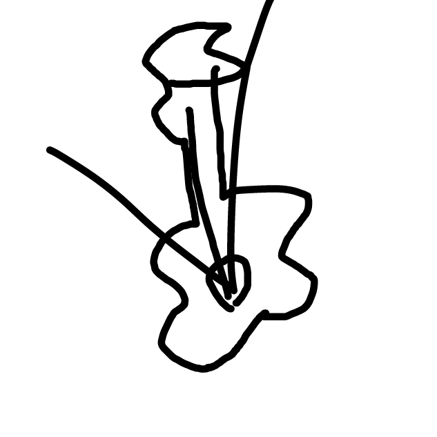 Liked webcomic in box