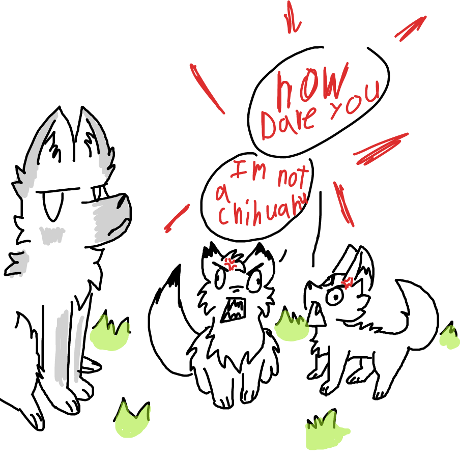 Drawing in foxes and wolfs are similar in my style by popitycorn