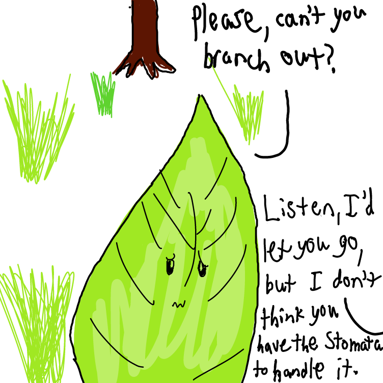 Drawing in leaf by Setin