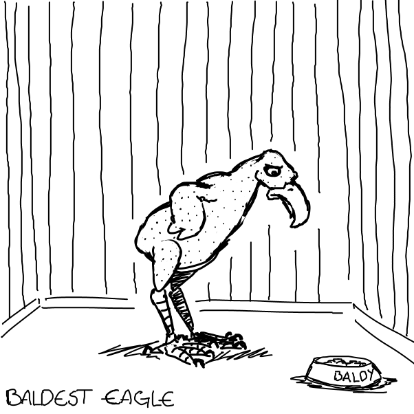 Drawing in Top 6 Most Depressed Zoo Animals by Aluminimalism