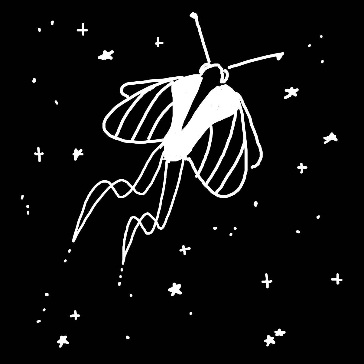 Drawing in butterfly by stritrus