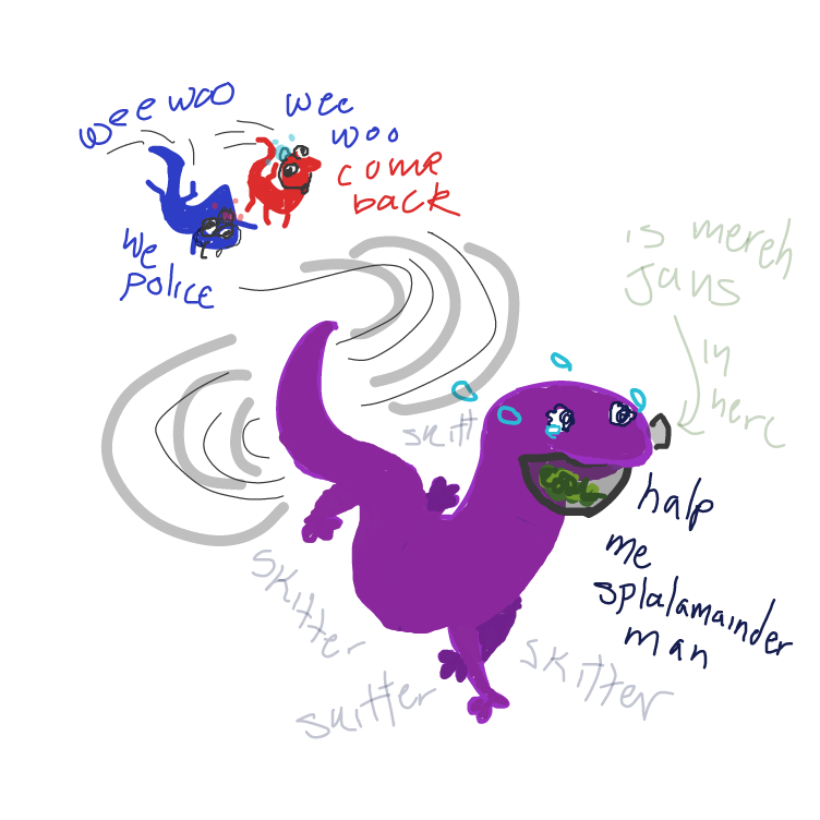 Drawing in Splalamainder by pantsless dog