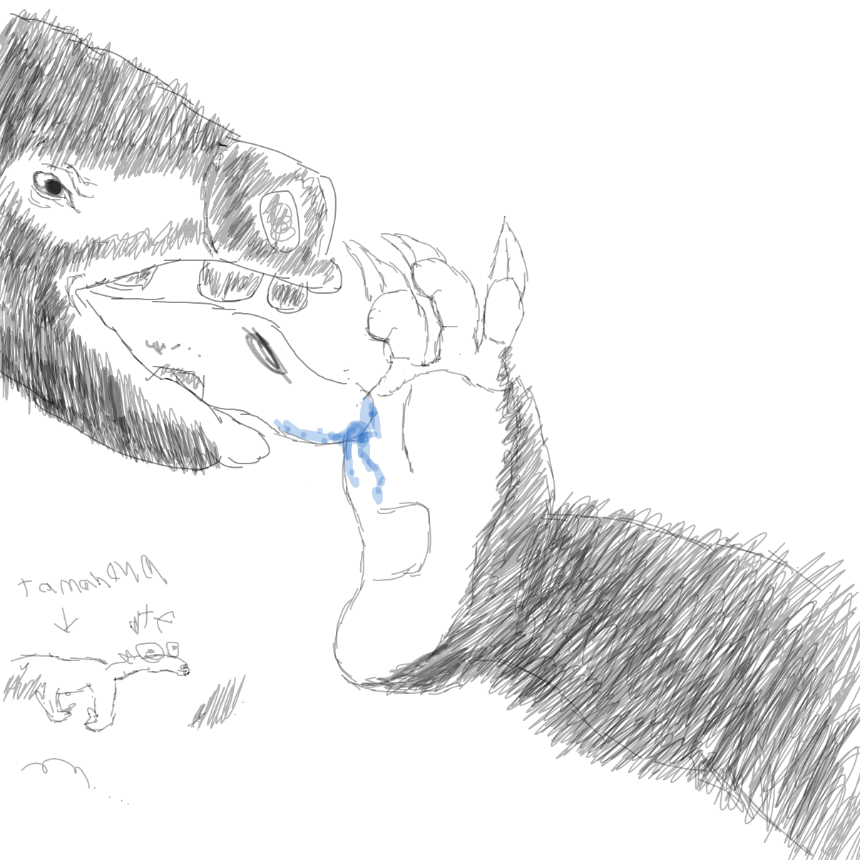 Drawing in feet by YARF