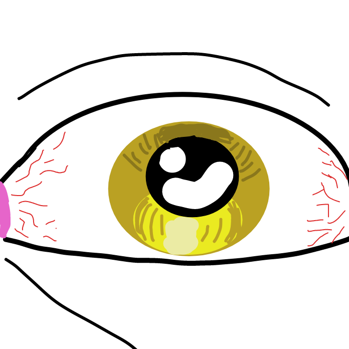 Drawing in babu by Mozart