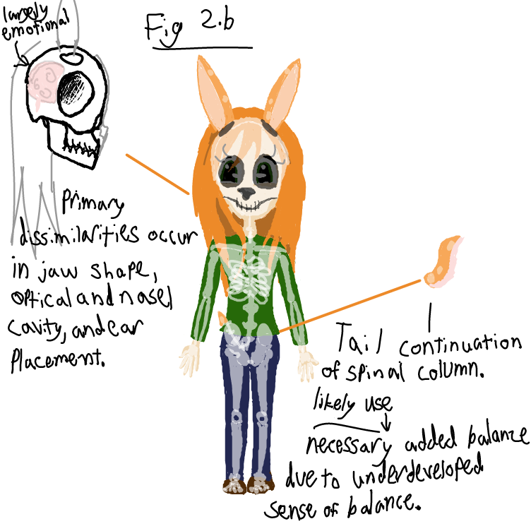 Liked webcomic OC Anatomy