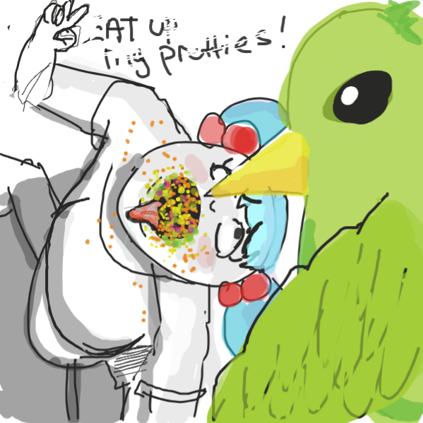 Drawing in Birdfood by kurocartoonist