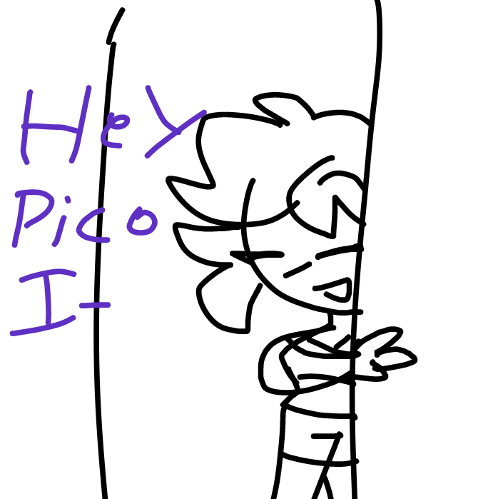 Drawing in Pico got caught by confusion