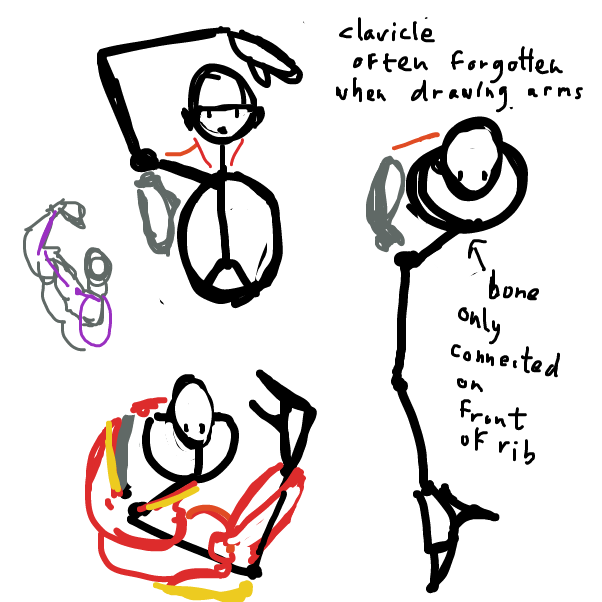 obscure drawing tips: I feel that the shoulder are is the hardest to get right when drawing a character -- many anatomy aspects click when one understands how the shoulder bones work - Online Drawing Game Comic Strip Panel by Peyocay