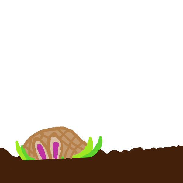 Drawing in hop by LizardPie34