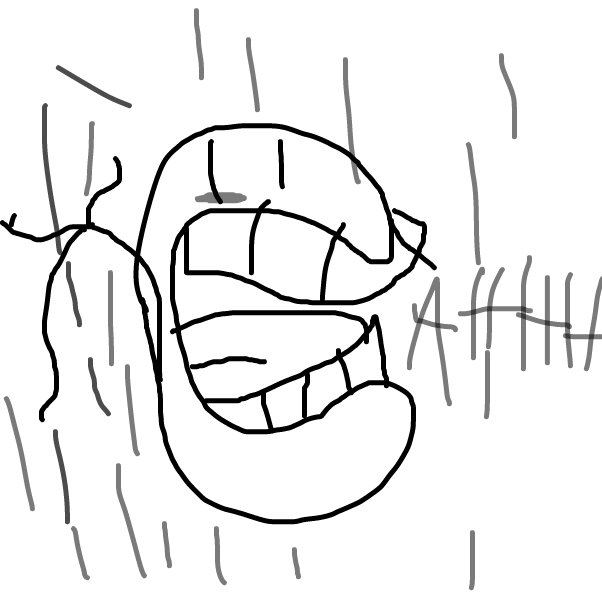 Drawing in Don’t take fall damage by BananaDoc