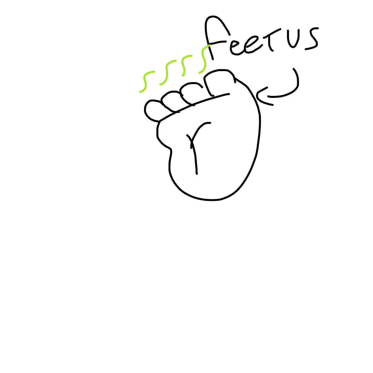 Drawing in Draw your first persona by kugirr