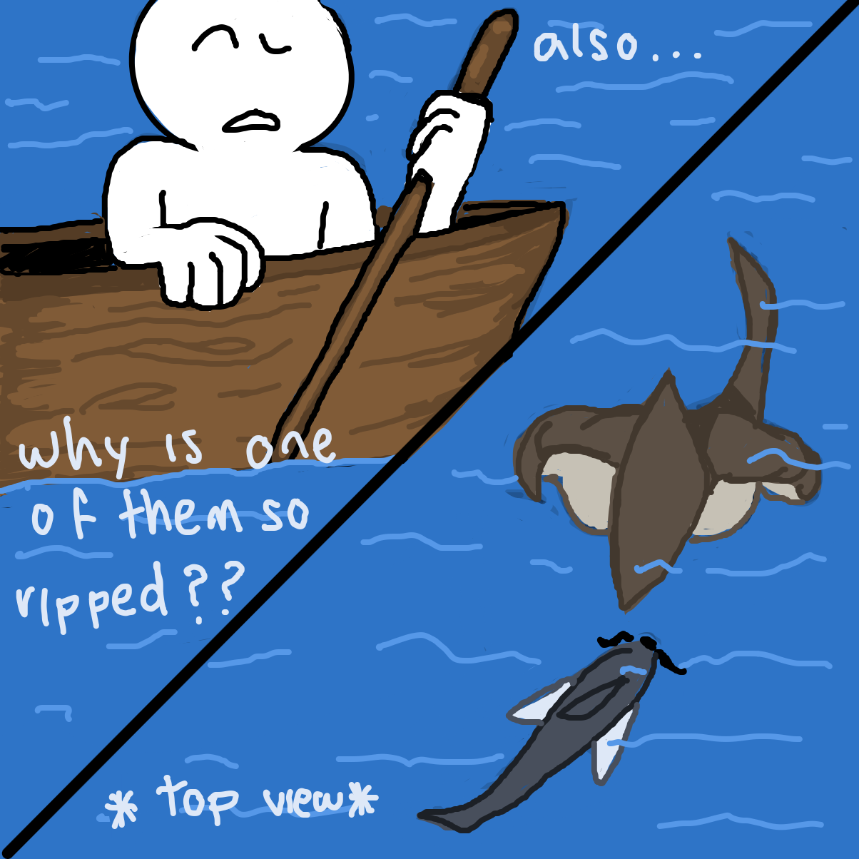 Drawing in shark caught in action by bubaki