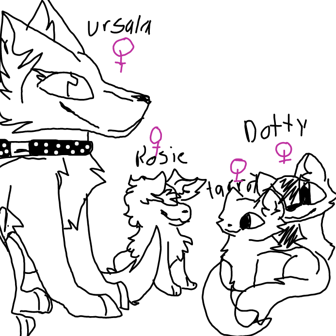 Drawing in draw your pets!! by scarlett