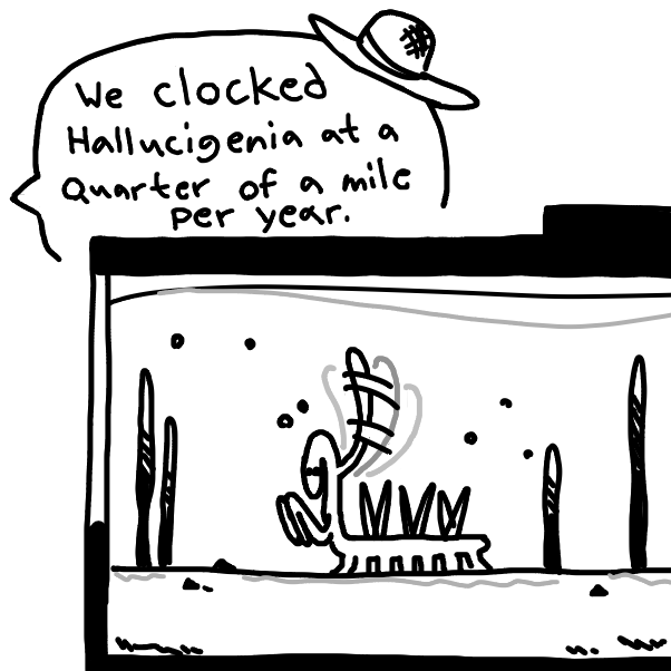 Drawing in Cambrian Park 2: The Misplaced World by W3