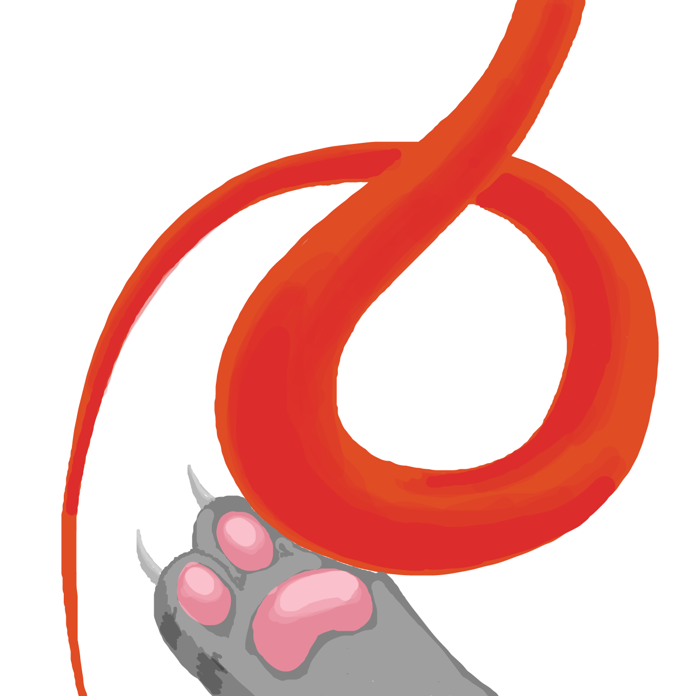 Drawing in String by TFD