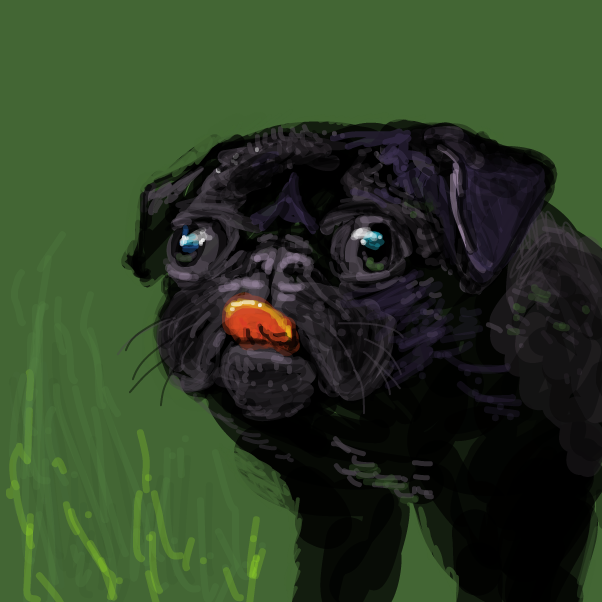 Liked webcomic Accept no substitutes