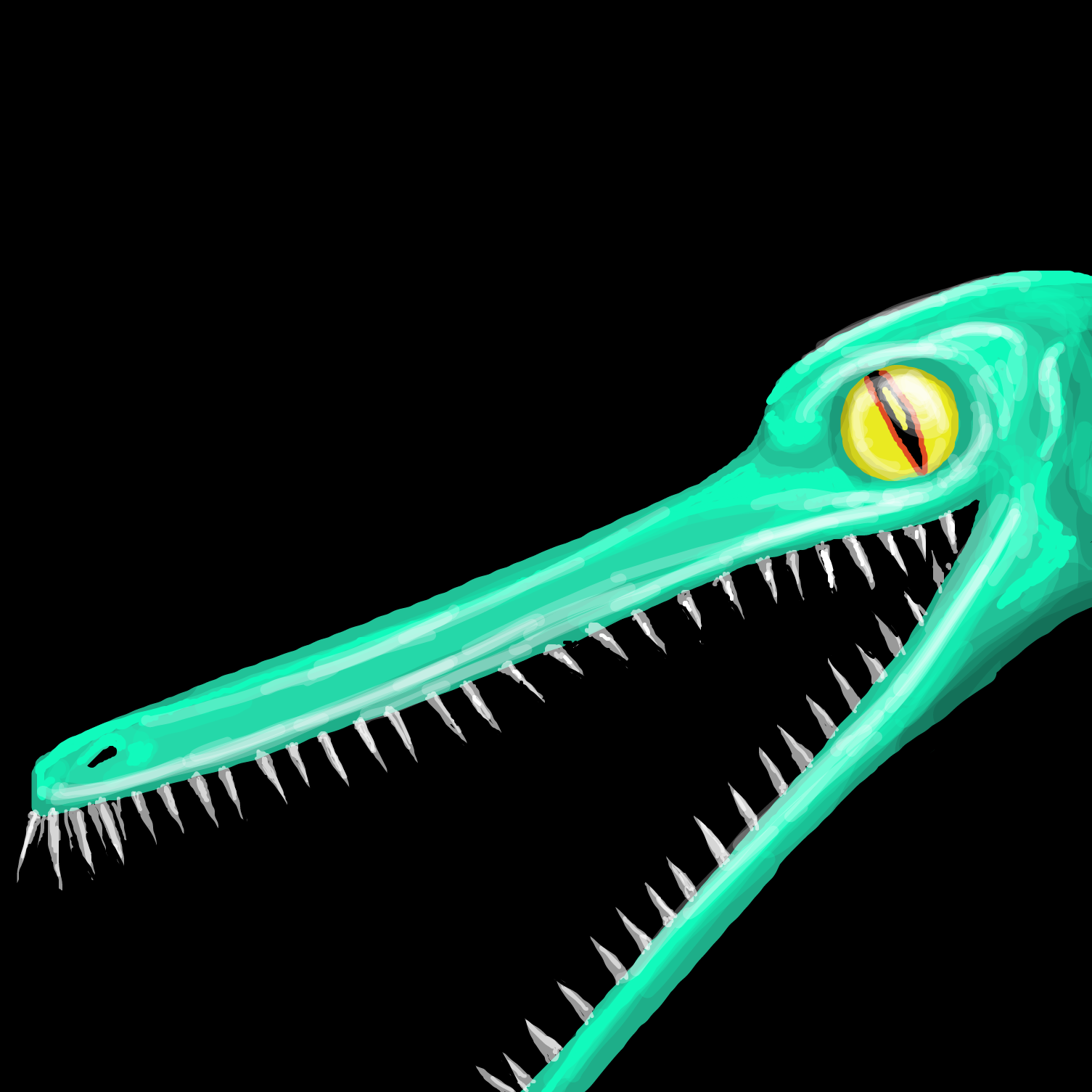 Drawing in Freedraw or Continue, Whichever you Prefer by TFD