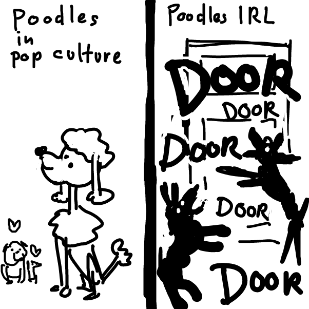 our girls always get very excited when someone is at the door
or someone might be at the door .. 
or something has moved .. 
or might have moved in their proximity
 - Online Drawing Game Comic Strip Panel by Peyocay