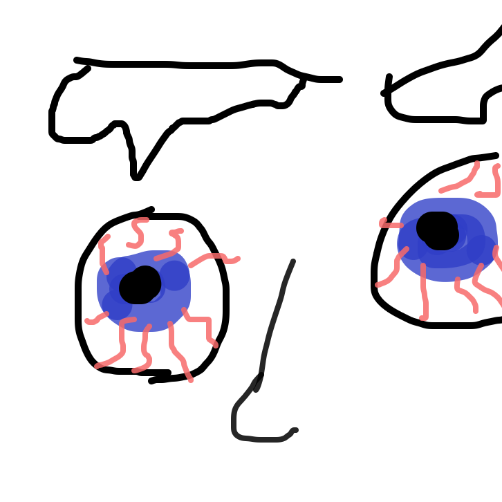 Drawing in test by Turkeysandwicj