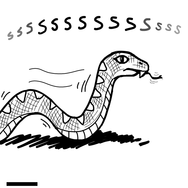 Drawing in SS by 🔲