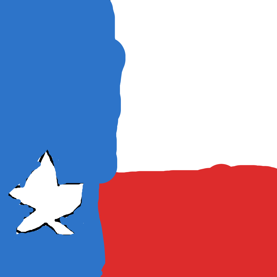 Drawing in Texas flag  by amongus