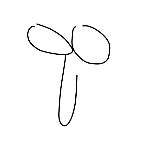 Drawing in N. Sane crate by KILLPJ