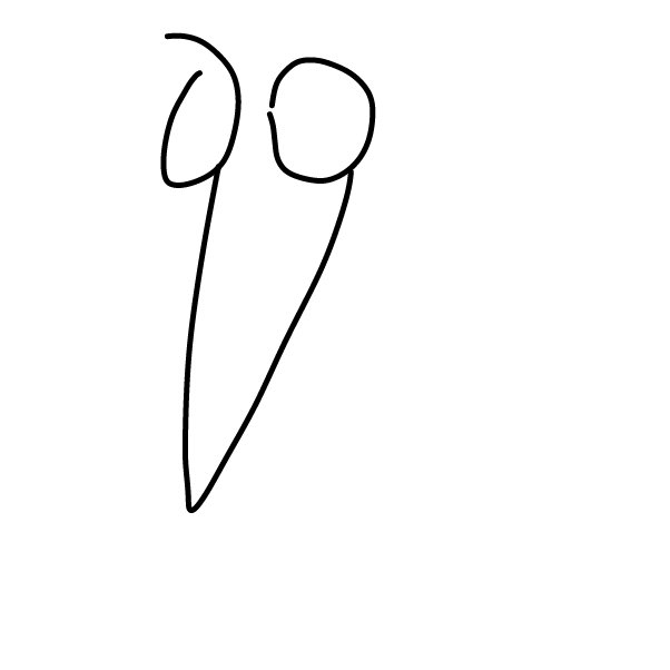 Drawing in My own country flag  by KILLPJ