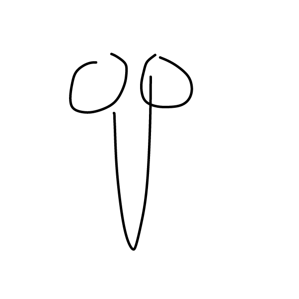 Drawing in E when thejwj by KILLPJ