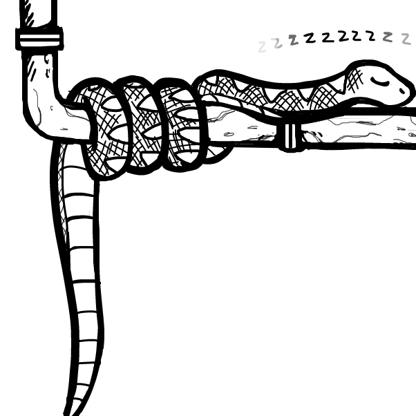 Drawing in SS by 🔲